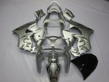 2000-2002 Silber Flamme Kawasaki ZX6R Motorrad Verkleidungen